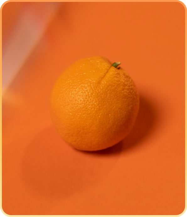 Why Orange? Book by Mackenzie Nelson